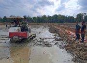 Cetak Sawah Rakyat Jadi Senjata Kutim Lawan Krisis Energi dan Inflasi