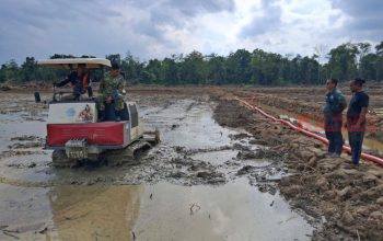 Cetak Sawah Rakyat Jadi Senjata Kutim Lawan Krisis Energi dan Inflasi