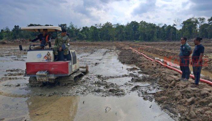Cetak Sawah Rakyat Jadi Senjata Kutim Lawan Krisis Energi dan Inflasi